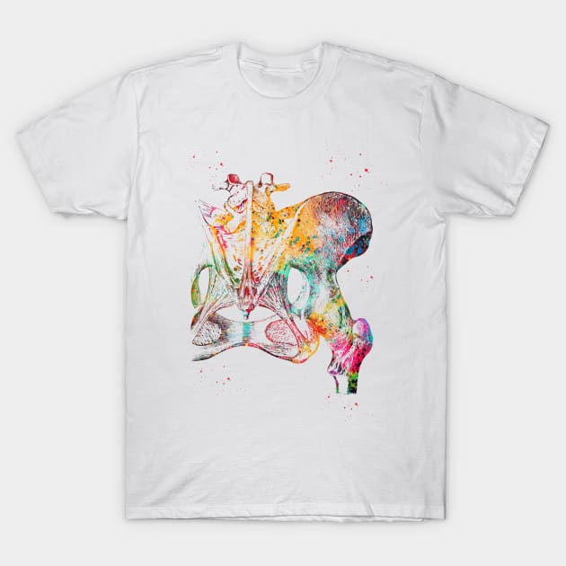 Hip bone ligaments and joint T-Shirt by erzebeth